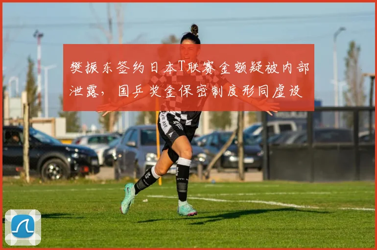 樊振东签约日本T联赛金额疑被内部泄露，国乒奖金保密制度形同虚设引热议